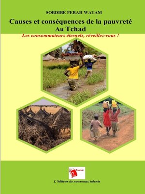 cover image of Causes Et Conséquences De La Pauvreté Au Tchad